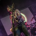 GutterPunk - Professional Concert Photography